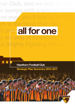 Hawthorn Football Club Strategic Plan Summary 2013
