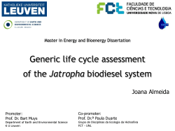 Generic life cycle assessment of the Jatropha biodiesel system