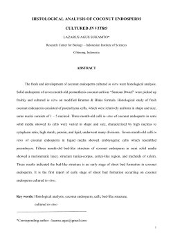 Histlogical study of Coconut Endosperm In Vitro