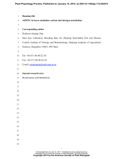 Running title AtPEPC in leaves modulates carbon and nitrogen