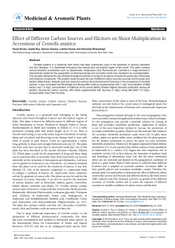 Effect of Different Carbon Sources and Elicitors on Shoot