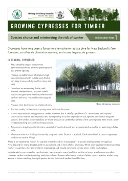 growing cypresses for timber - NZ Farm Forestry Association