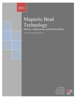 Magnetic Bead Technology