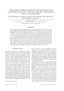 food-induced body pigmentation questions the taxonomic value of