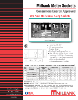 Milbank Meter Sockets