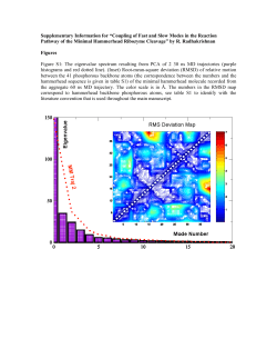 Supplementary Information for &ldquo;Self