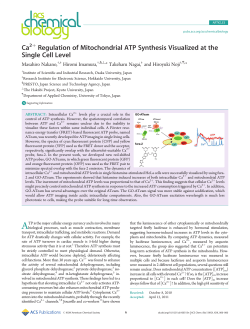 Ca Regulation of Mitochondrial ATP Synthesis Visualized at the