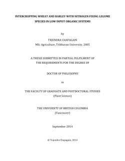 Intercropping wheat and barley with nitrogen fixing legume species