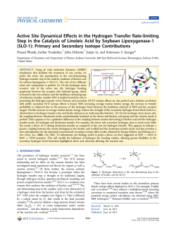 Active Site Dynamical Effects in the Hydrogen Transfer Rate