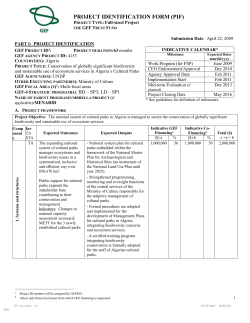 project identification form (pif)