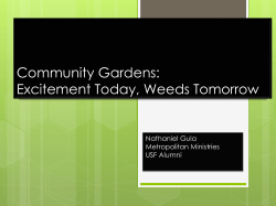 Community Gardens: Excitement Today, Weeds Tomorrow