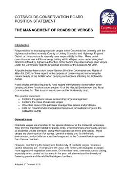 cotswolds conservation board position statement