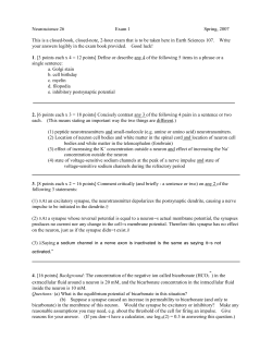 Neuroscience 26