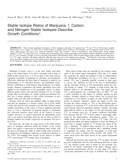 Stable Isotope Ratios of Marijuana. I. Carbon and Nitrogen Stable