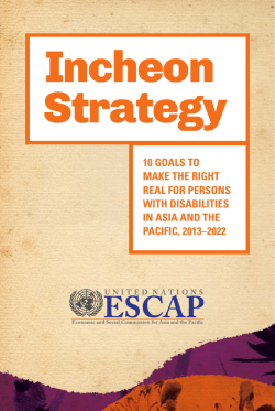 10 goals to make the right real for persons with disabilities in asia