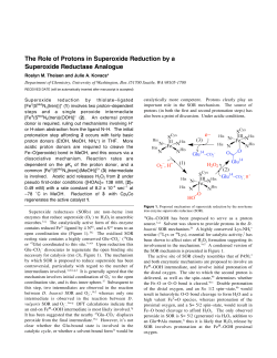 The Role of Protons in Superoxide Reduction by a Superoxide