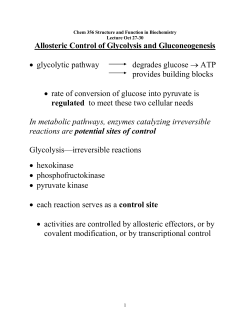 GLUCONEOGENESIS