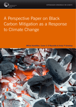 A Perspective Paper on Black Carbon Mitigation as a Response to