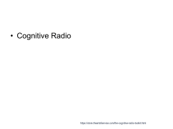 (PPT, 164KB)