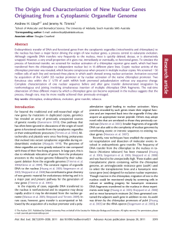 The Origin and Characterization of New Nuclear Genes Originating