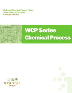 Chemical Process Pumps