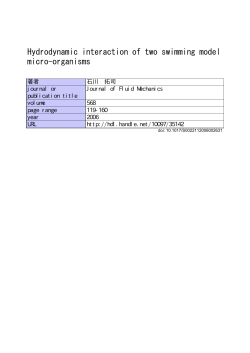 Hydrodynamic interaction of two swimming model micro