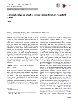 Municipal sludge: an effective soil supplement for improving plant