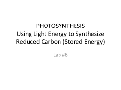 PHOTOSYNTHESIS Using Light Energy to Synthesize Reduced