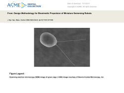 ppt - Journal of Dynamic Systems, Measurement, and Control