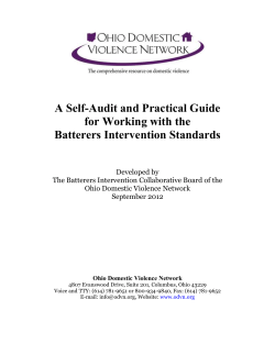A Self-Audit and Practical Guide for Working with the Batterer`s