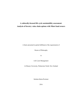 A culturally-focused life cycle sustainability assessment