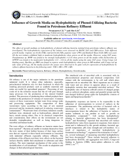 Influence of Growth Media on Hydrphobicity of Phenol