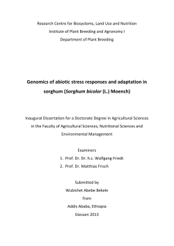 Genomics of abiotic stress responses and adaptation in sorghum