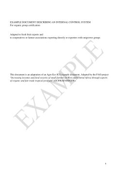 EXAMPLE DOCUMENT DESCRIBING AN INTERNAL CONTROL
