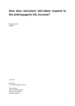 How does Vaccinium vitis-idaea respond to the anthropogenic CO 2