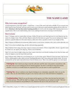 Name Game - Lucky Dog Sports Club