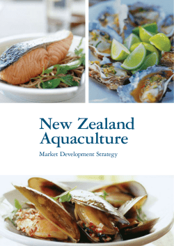 Market Development Strategy