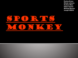 SPORTS MONKEY