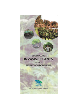 invasive plants invasive plants