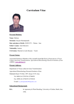 Curriculum Vitae