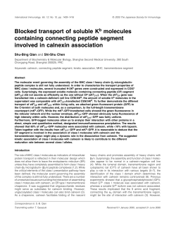 Blocked transport of soluble Kb molecules