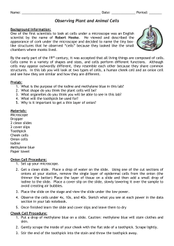 LAB: Observing Plant and Animal Cells