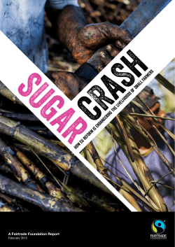 Sugar Crash - how EU reform is endangering the livelihoods of