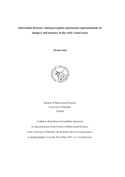 Interaction between visual perception and mental representations of