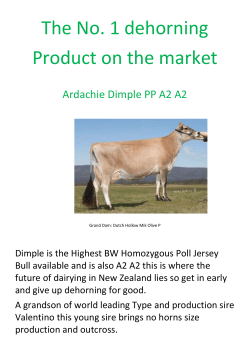 Ardachie Dimple PP A2 A2