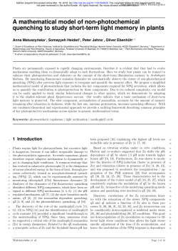 A mathematical model of non-photochemical quenching to