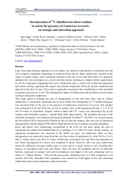 Incorporation of C labelled root-shoot residues in soil in the