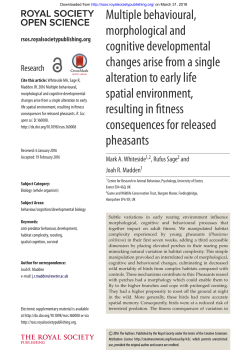 Multiple behavioural, morphological and cognitive developmental