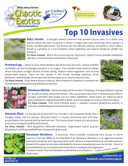 CRD Top 10 Invasive Plants - Cariboo Regional District