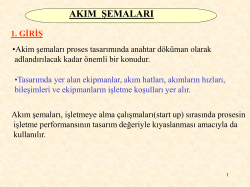 2.2. Proses Akım Diyagramı (PFD)